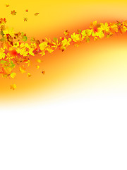 Image showing Autumnal concept background
