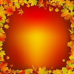 Image showing Autumn leaves frame