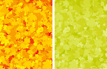 Image showing Autumn colorful maple leaves.