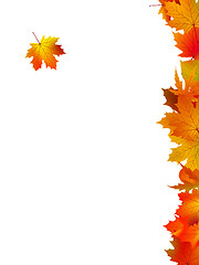 Image showing Thank You Card With A Leaves Background
