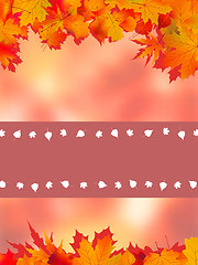 Image showing Thank You Card With A Leaves Background