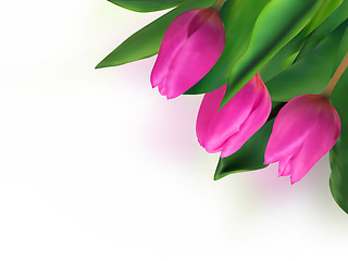 Image showing Violet tulip card.