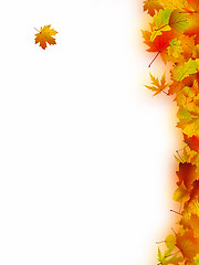 Image showing Autumn Leaves
