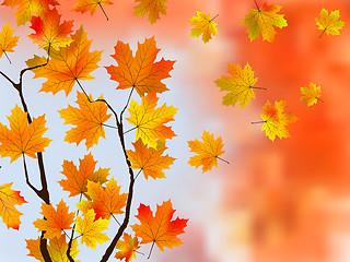Image showing Autumn Leaves, Very Shallow Focus
