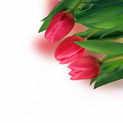 Image showing Spring holiday red tulip.