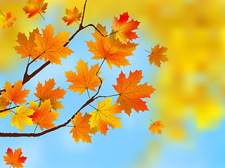 Image showing Autumn leaves, very shallow focus.