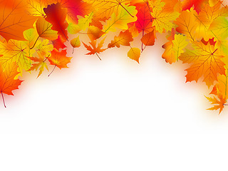 Image showing Fallen autumn leaves background