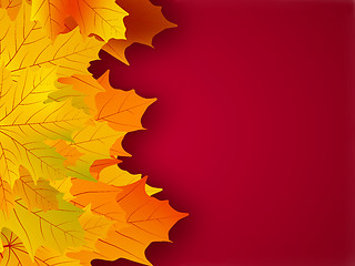 Image showing Yellow fall leaves on a red background.