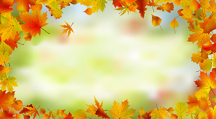 Image showing Autumn card of bright multicolor leaves.