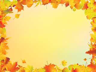 Image showing Fall leaves frame