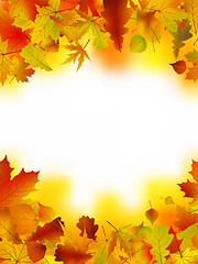 Image showing Autumn card of bright multicolor leaves.