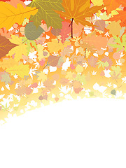 Image showing Autumn leaves background.