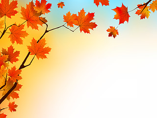 Image showing Autumn background with maple leaves and blue sky.