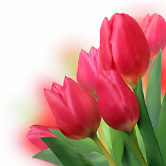 Image showing Bouquet of beautiful red tulips.