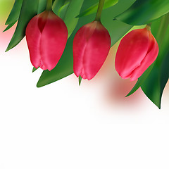 Image showing Spring holiday red tulip.