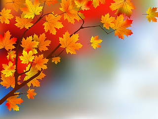 Image showing Autumn yellow leaves, shallow focus.