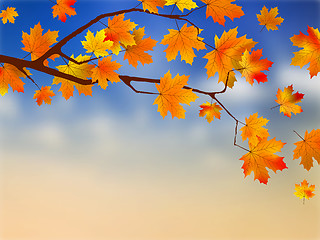 Image showing Fall leaves in front of blue sky with clouds.