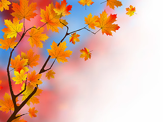 Image showing Red maple leaves as a background or concept.