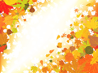 Image showing Autumn light background