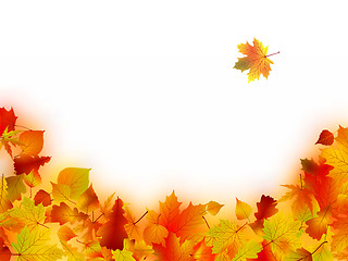 Image showing Autumn Leaves