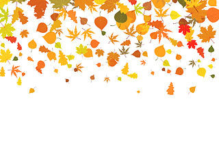 Image showing Background of autumn leaves.