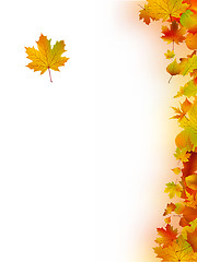 Image showing Autumn Leaves