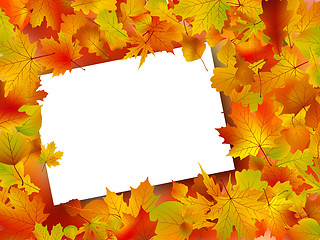 Image showing Thanksgiving Fall Autumn Background