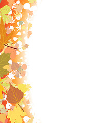 Image showing Autumn background template.