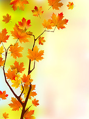 Image showing Autumn silk floral leaves.