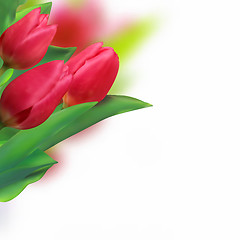 Image showing Spring holiday red tulip.