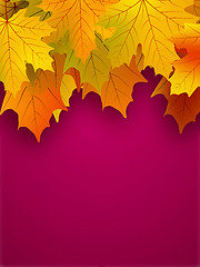Image showing Yellow fall leaves on a red background.