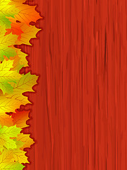 Image showing Fall coloured leaves. EPS 8 vector file included