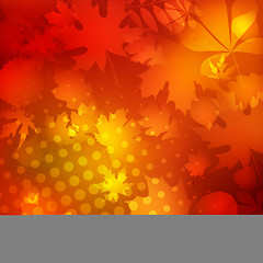 Image showing Soft warm dotted Autumn leaves