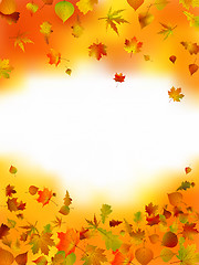 Image showing Autumn card of bright multicolor leaves.