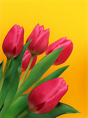 Image showing Bouquet of tulips.