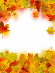 Image showing Autumn Leaves