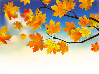 Image showing Fall leaves in front of blue sky with clouds.