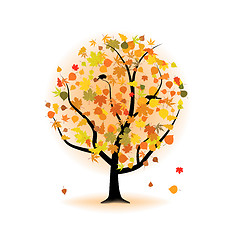 Image showing Maple tree, autumn leaf fall.