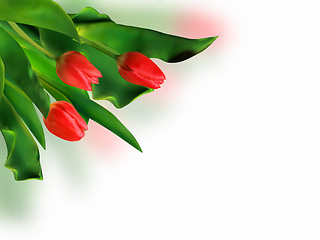 Image showing Bouquet of spring red tulips.