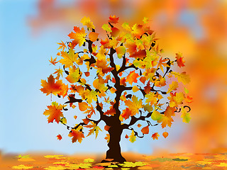 Image showing Beautiful autumn tree for your design.