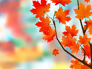 Image showing Autumn leaves, very shallow focus.
