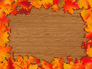Image showing Autumn background with colored leaves.