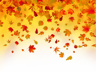 Image showing Fallen autumn leaves background