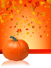 Image showing Autumn Pumpkins and leaves.