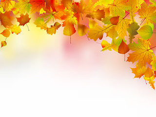 Image showing Autumn leaves border for your text.