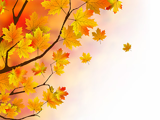 Image showing Warm colors of Autumn.