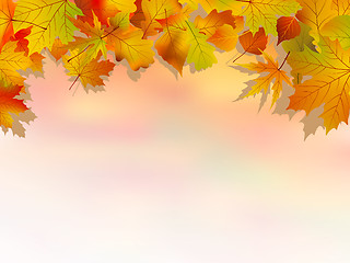 Image showing Autumn colorful backround.