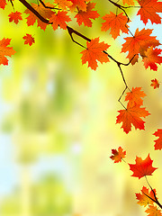 Image showing Autumn leaves border for your text.