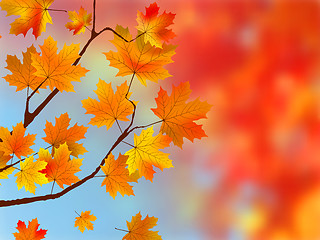 Image showing Colorful Autumn Leaves