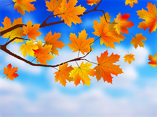 Image showing Beautiful Autumn Background against clue sky.